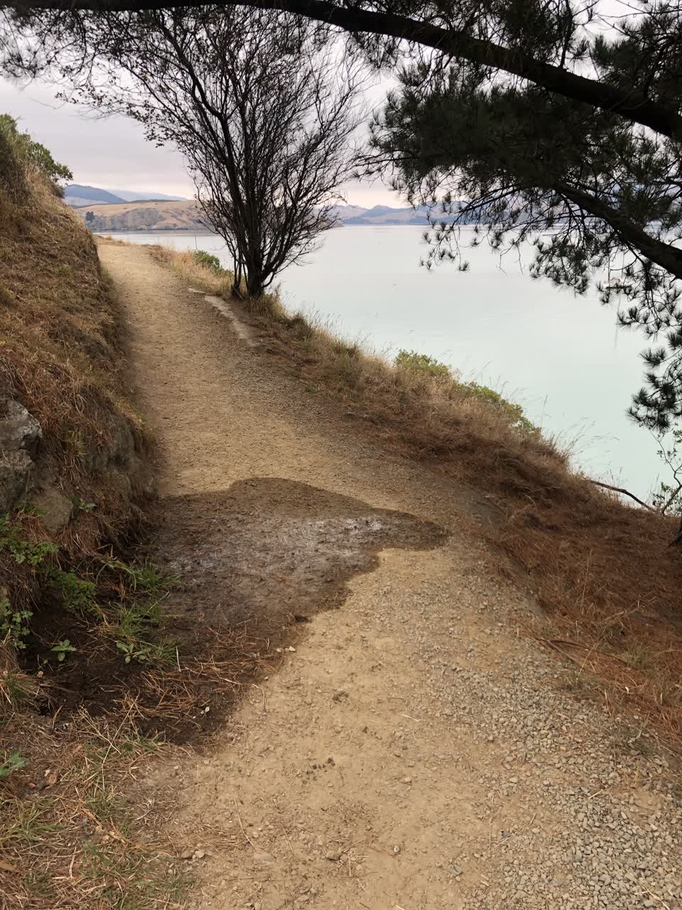 The photograph attached to this water leak report