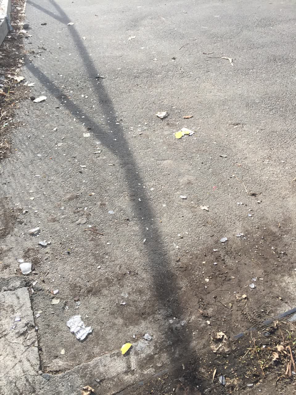 The photograph attached to this parks report