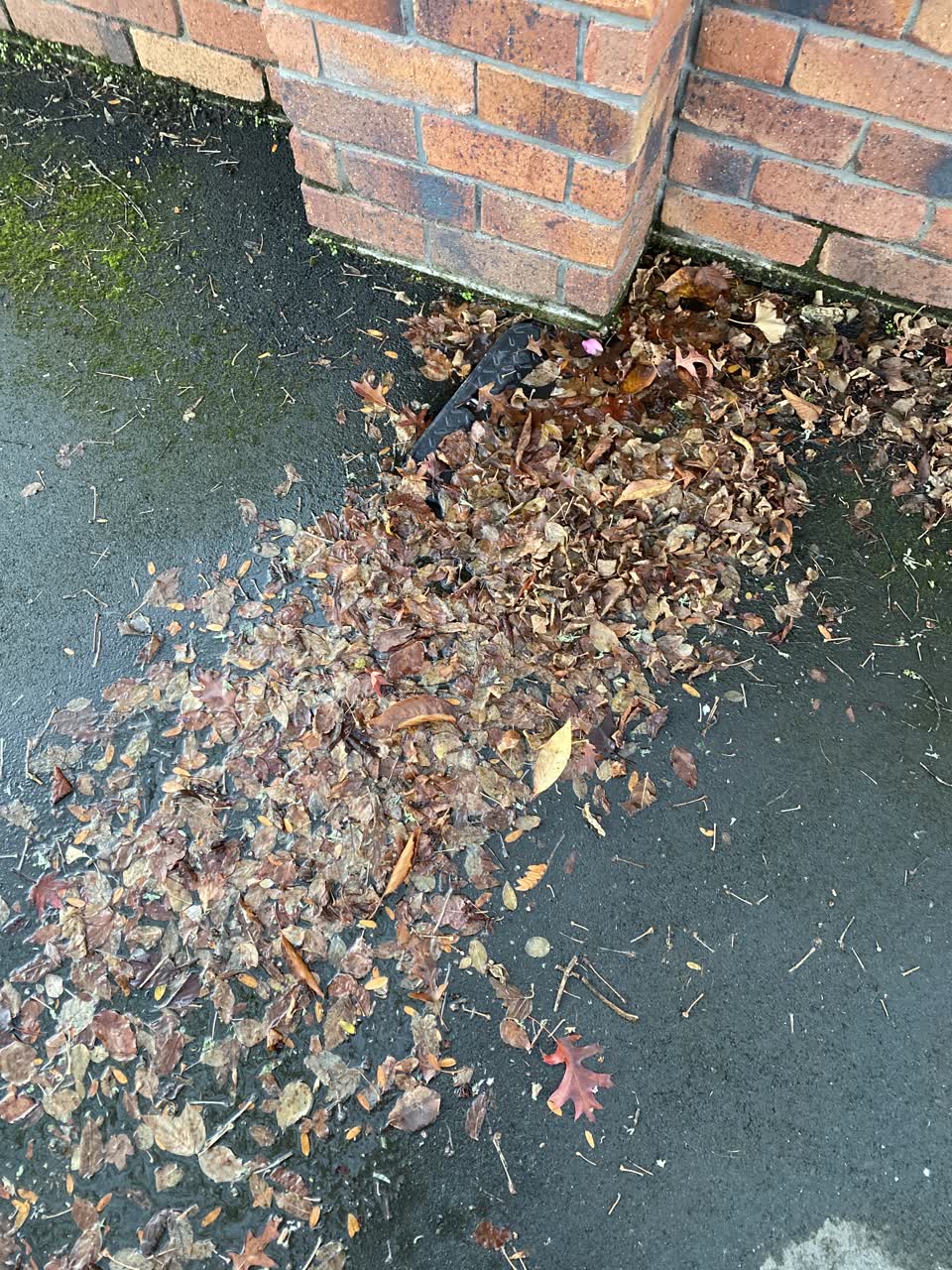 The photograph attached to this water leak report