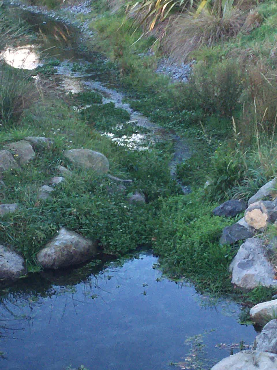 The photograph attached to this parks report