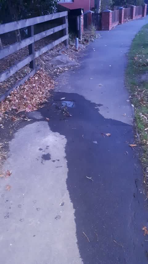 Water Leak, a report photo