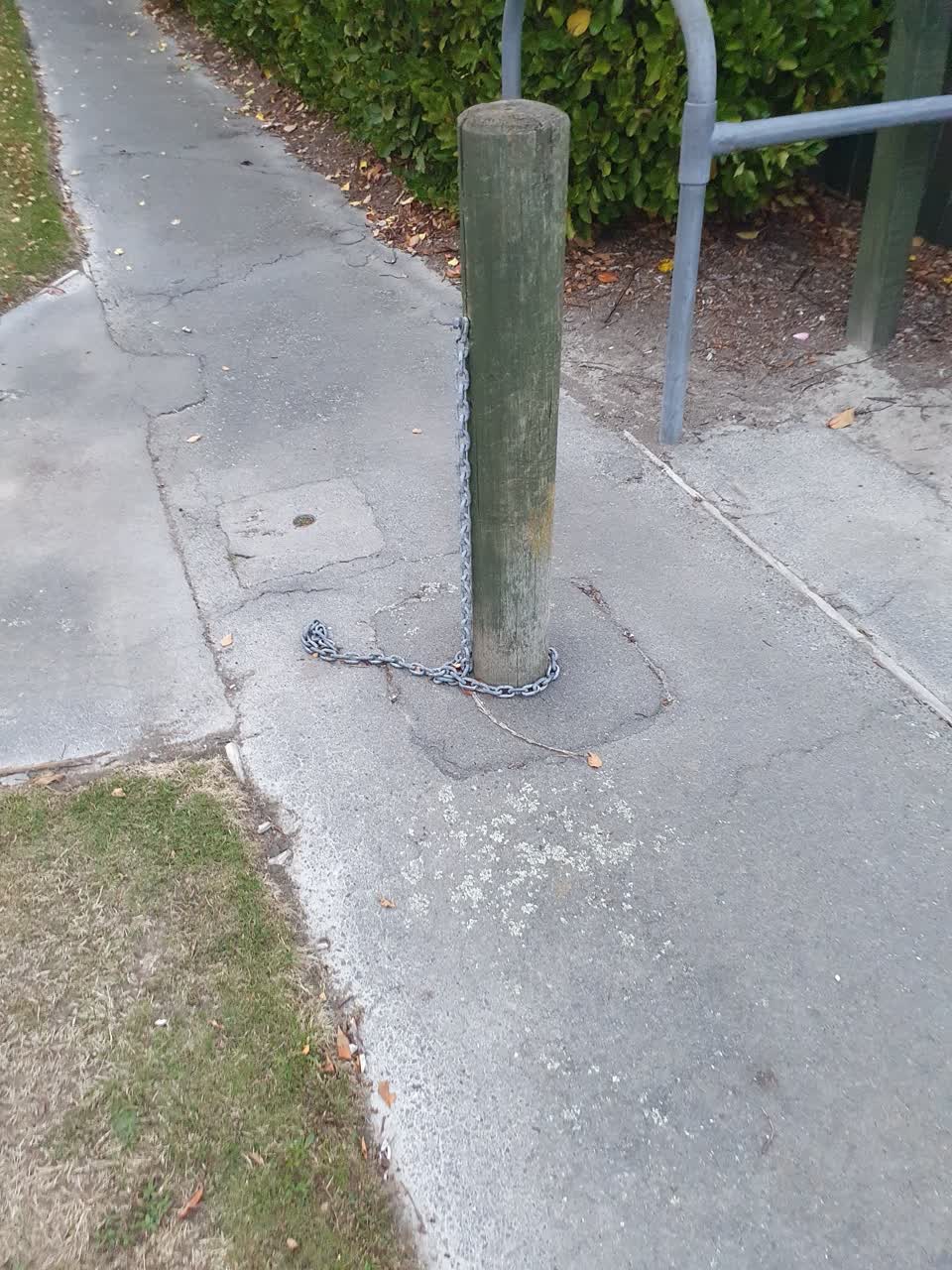 The photograph attached to this parks report
