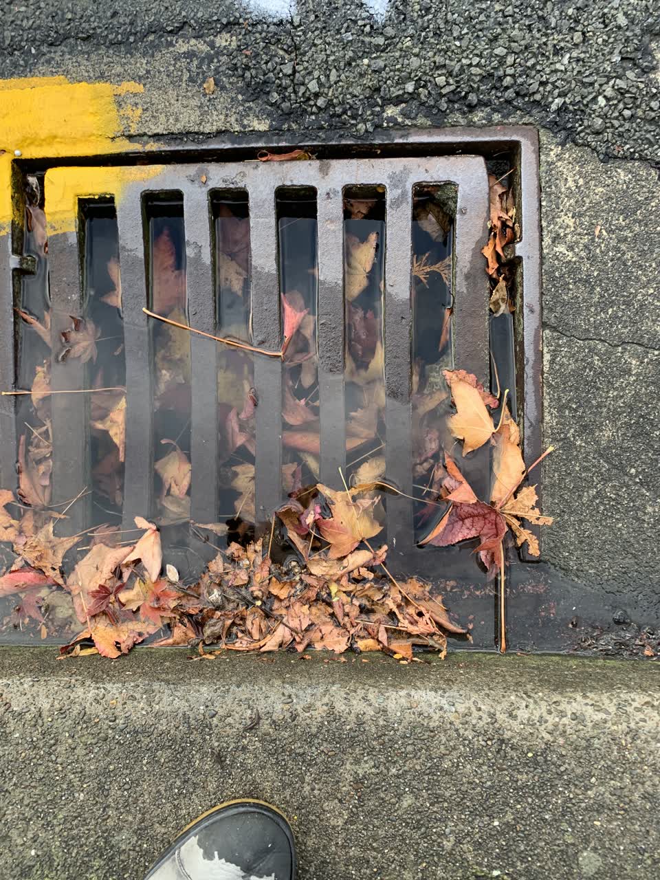 The photograph attached to this wastewater/stormwater report