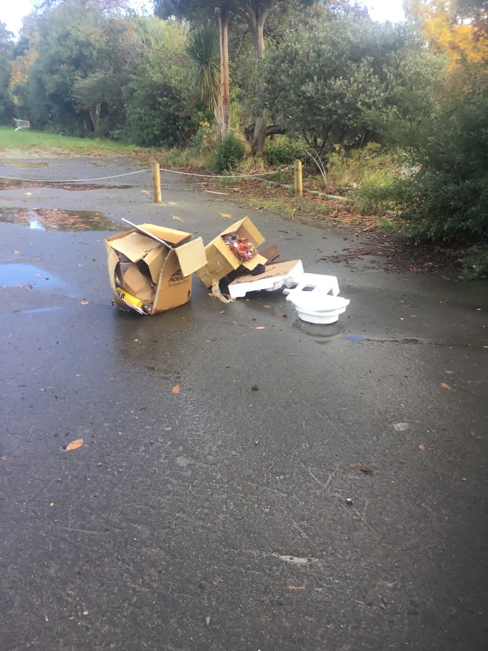 The photograph attached to this rubbish/recycling report