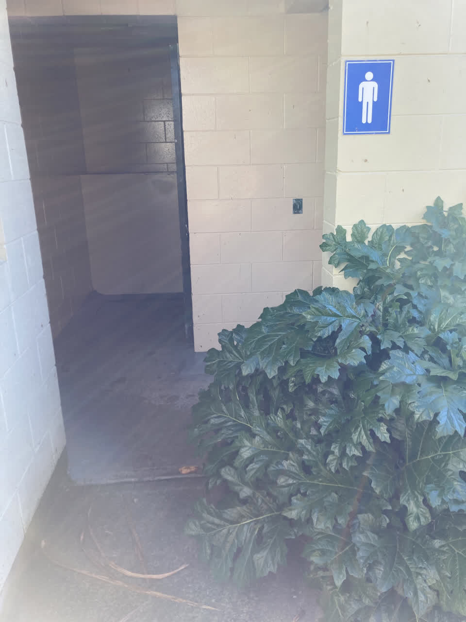 The photograph attached to this parks report