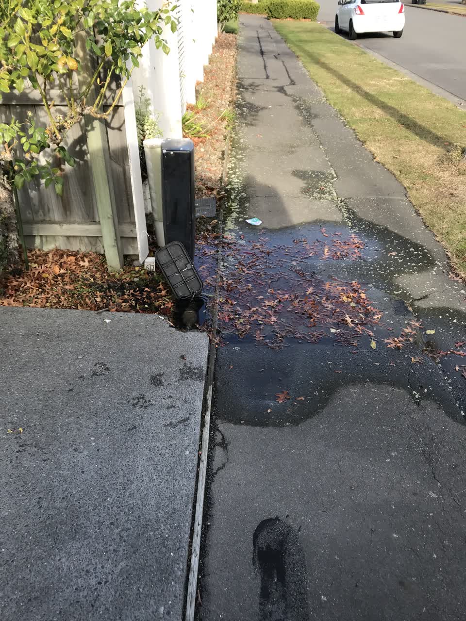 The photograph attached to this water leak report