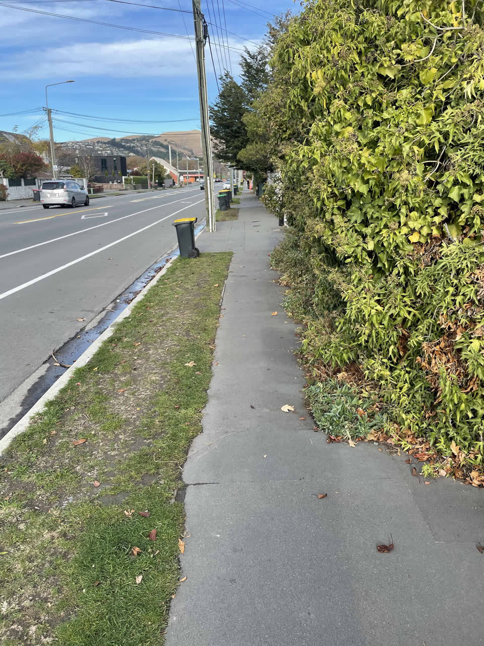 The photograph attached to this roading/streets report