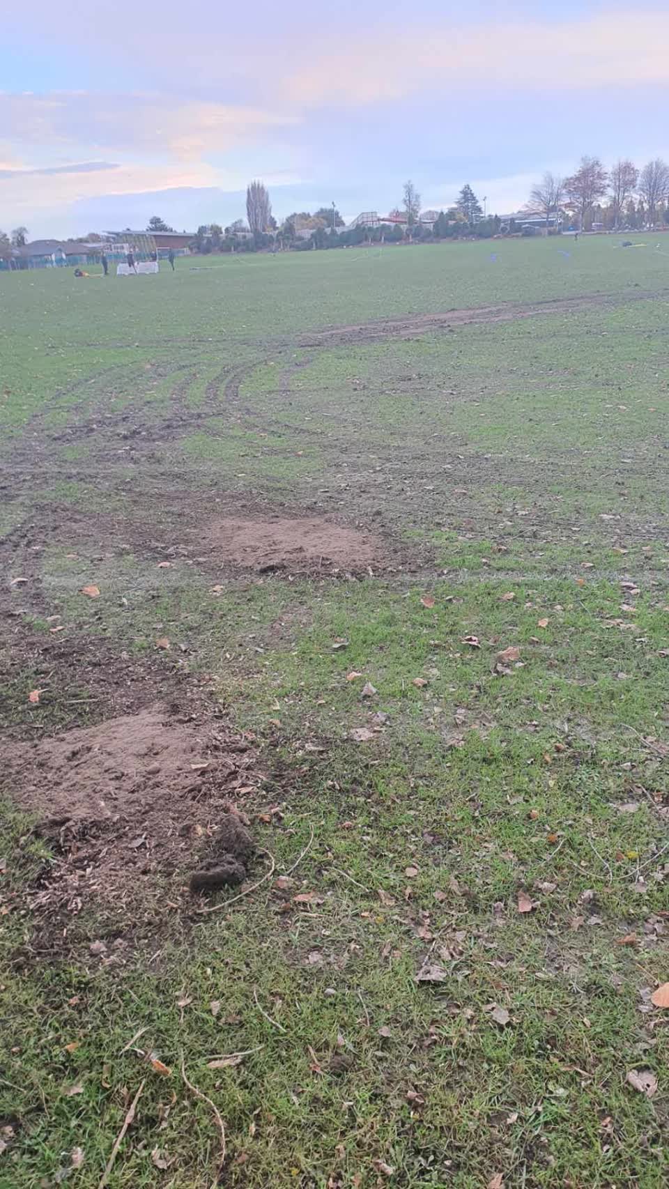 The photograph attached to this parks report