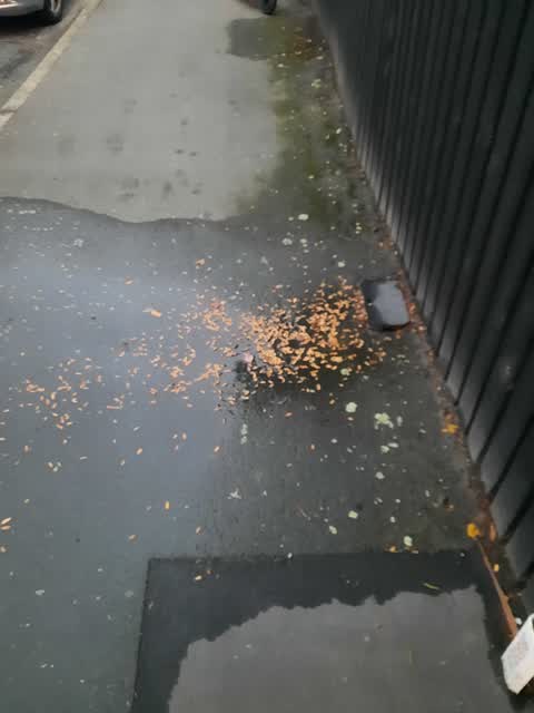 Water Leak, a report photo