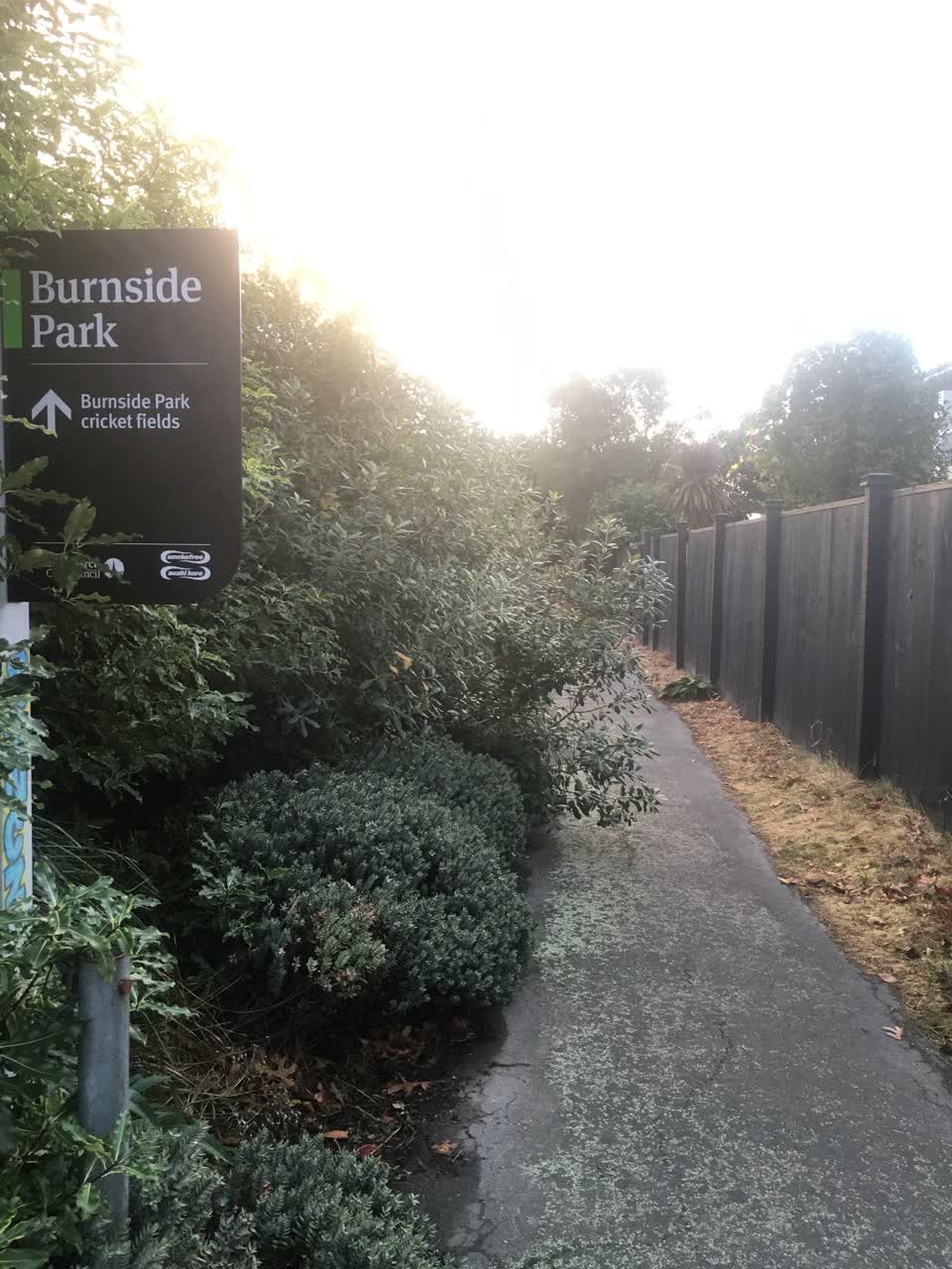 The photograph attached to this parks report