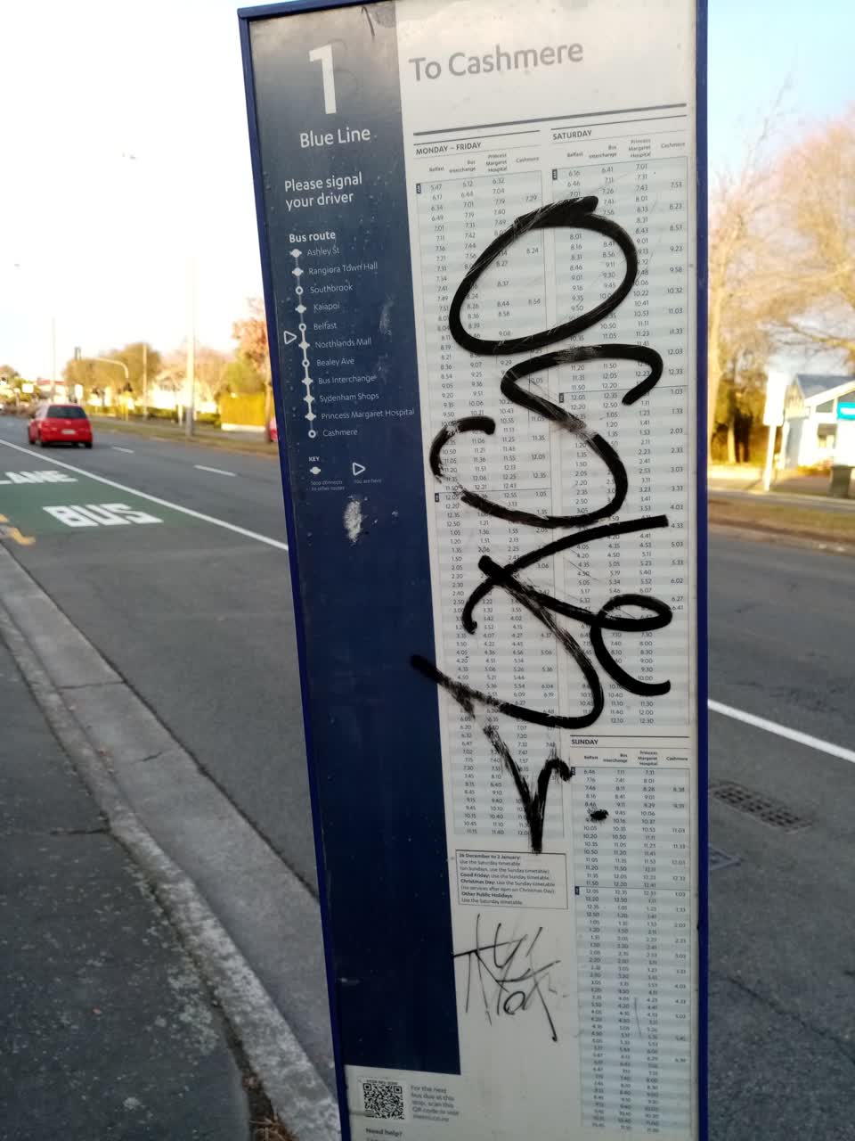 The photograph attached to this graffiti report