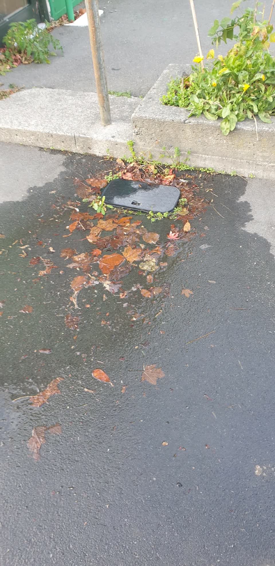 The photograph attached to this water leak report