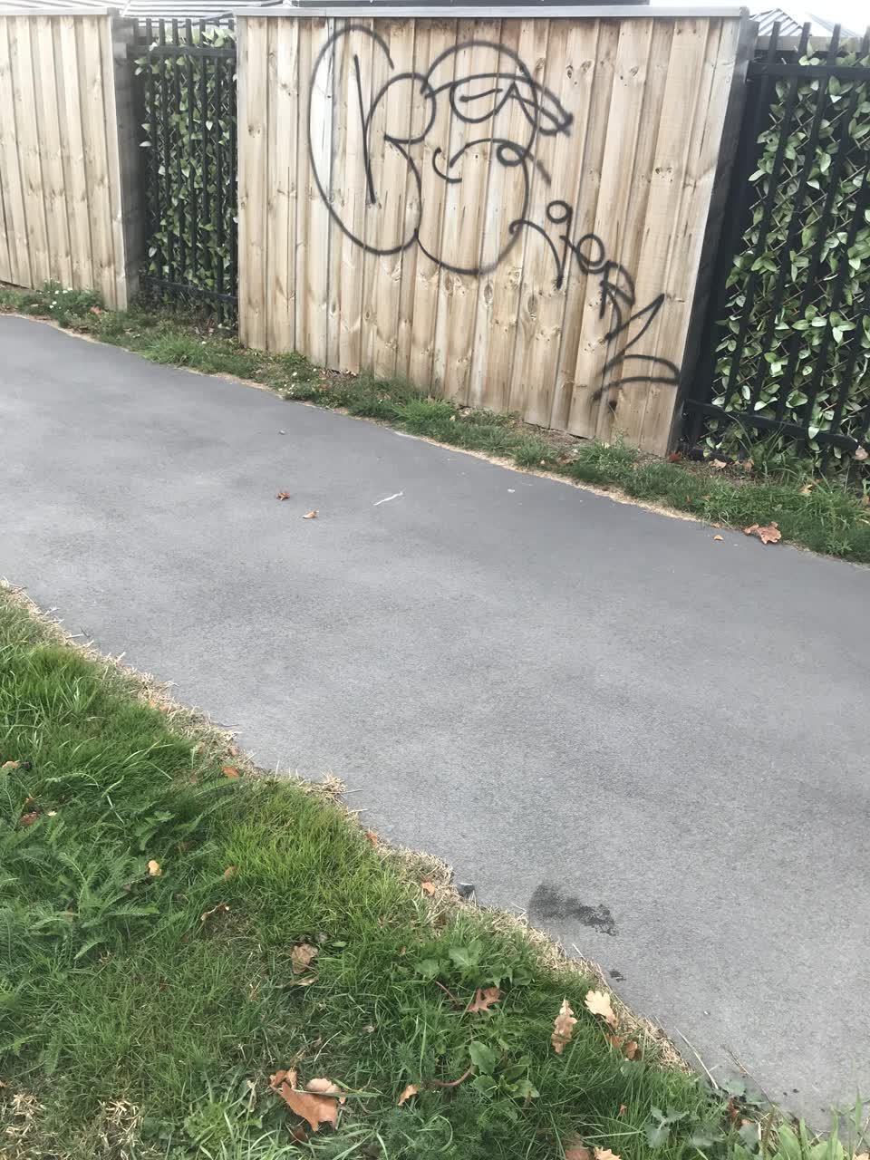 The photograph attached to this graffiti report