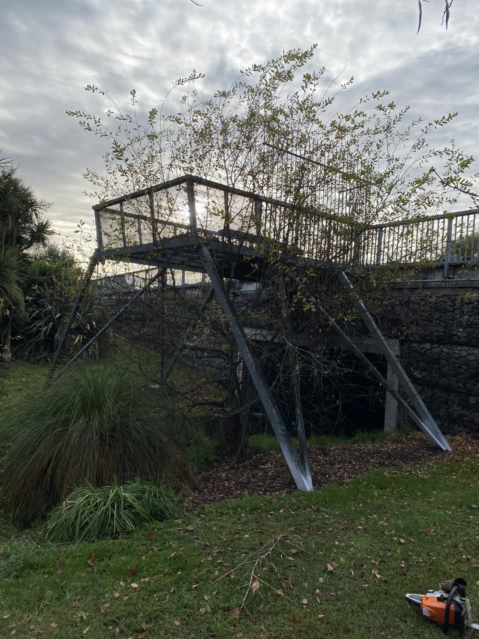 The photograph attached to this parks report