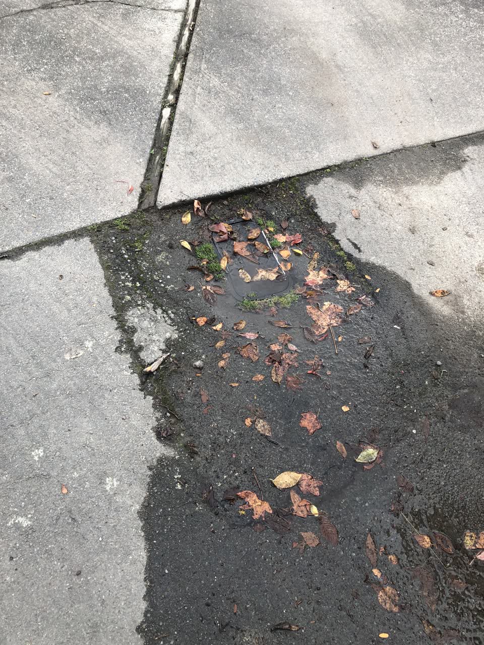 The photograph attached to this water supply report