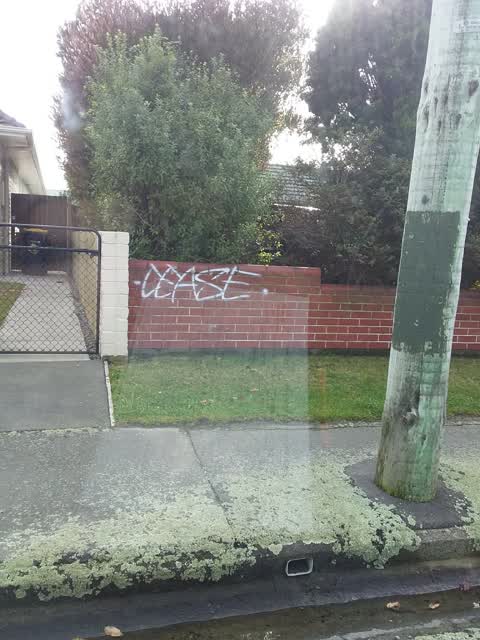 Graffiti — a report photo