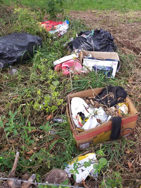 Rubbish/Recycling, a report photo