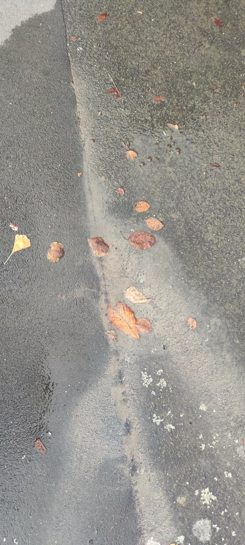 The photograph attached to this water supply report