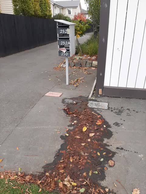 Water Leak, a report photo