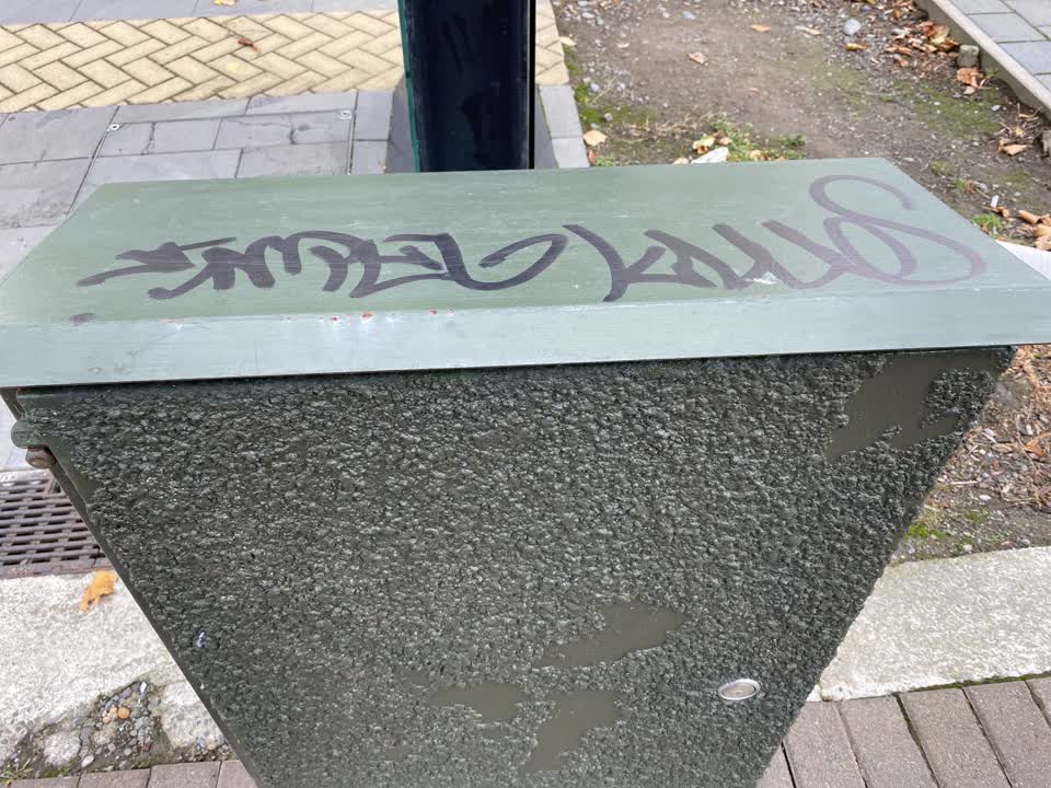 The photograph attached to this graffiti report