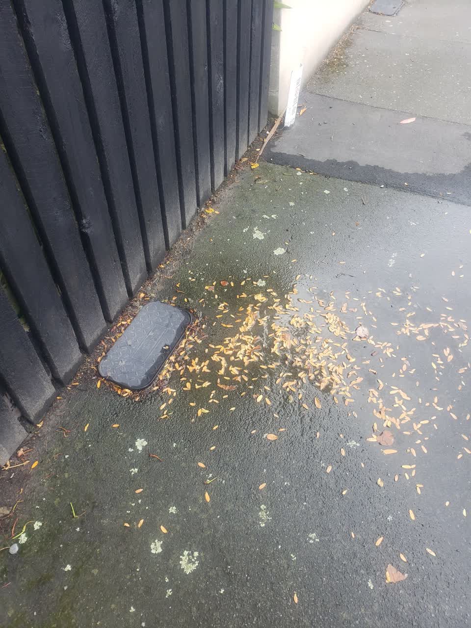 The photograph attached to this wastewater/stormwater report