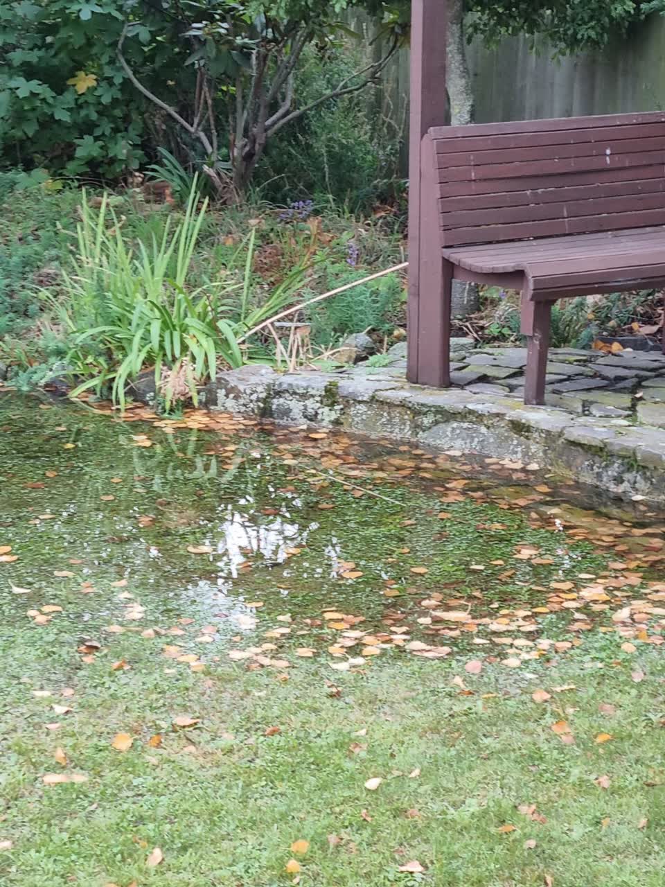 The photograph attached to this flooding report