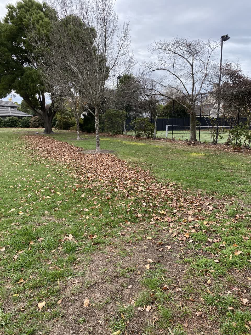 The photograph attached to this parks report