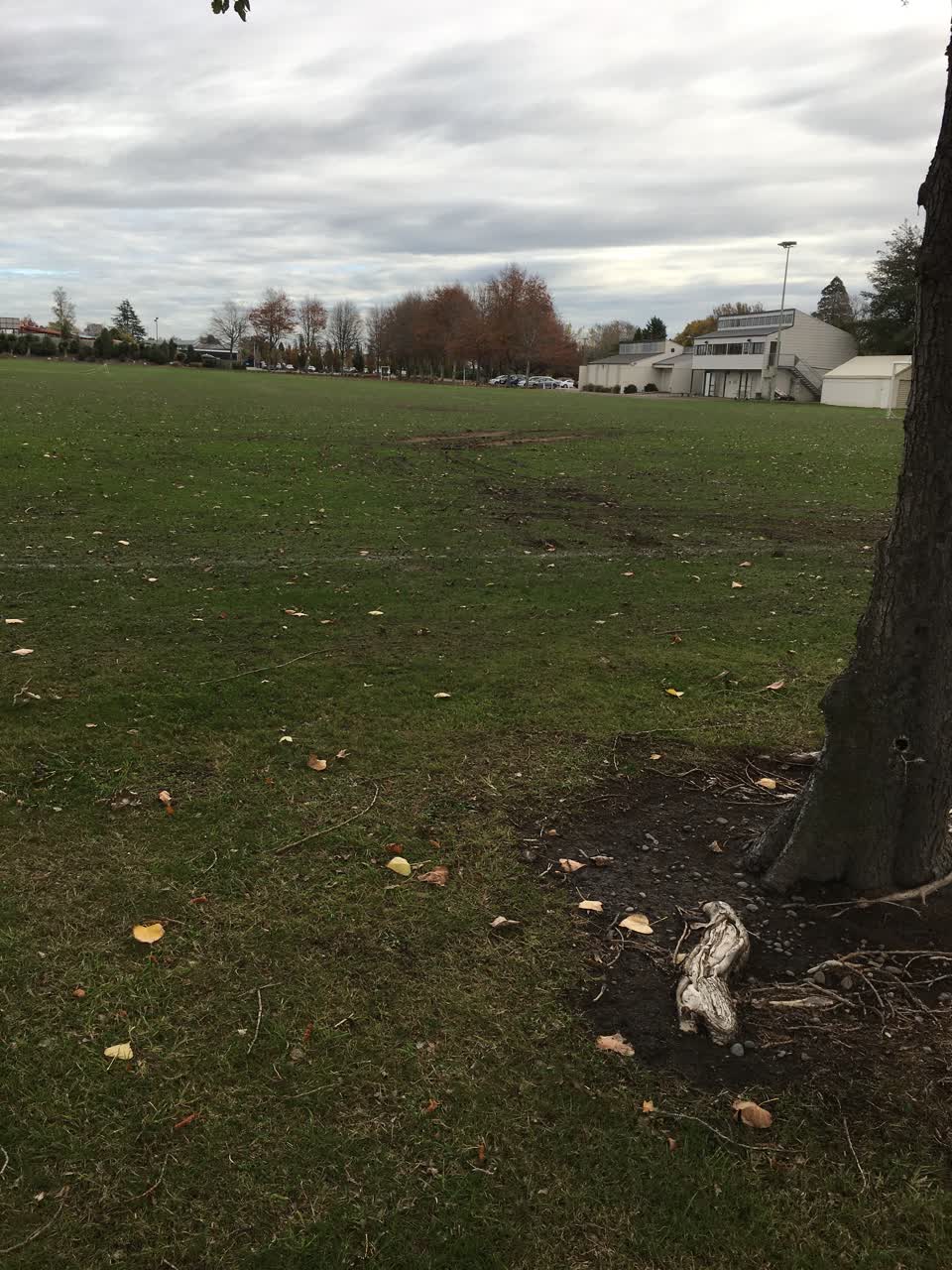 The photograph attached to this parks report