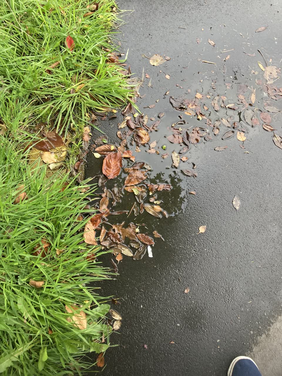 The photograph attached to this water leak report
