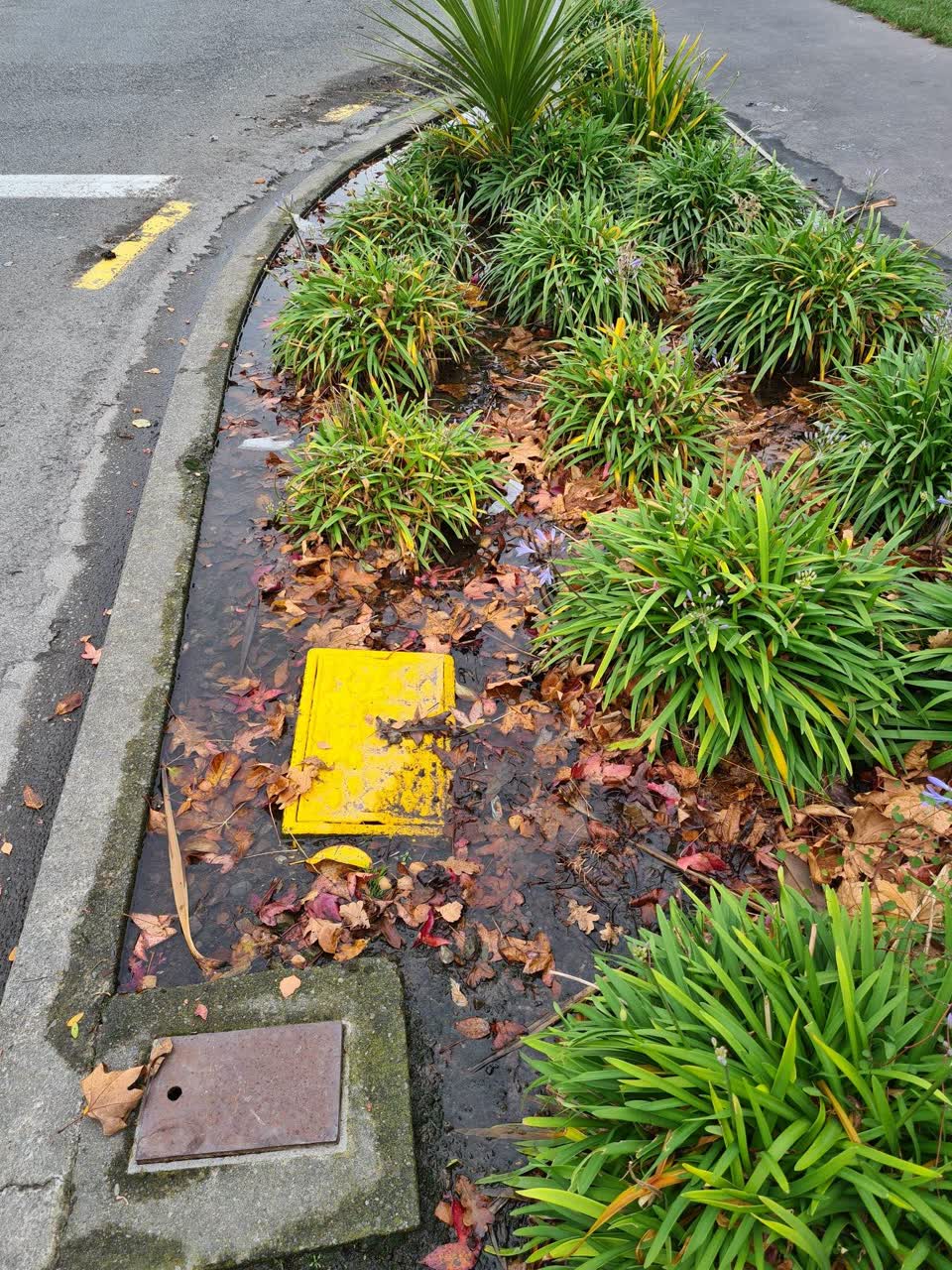 The photograph attached to this water leak report
