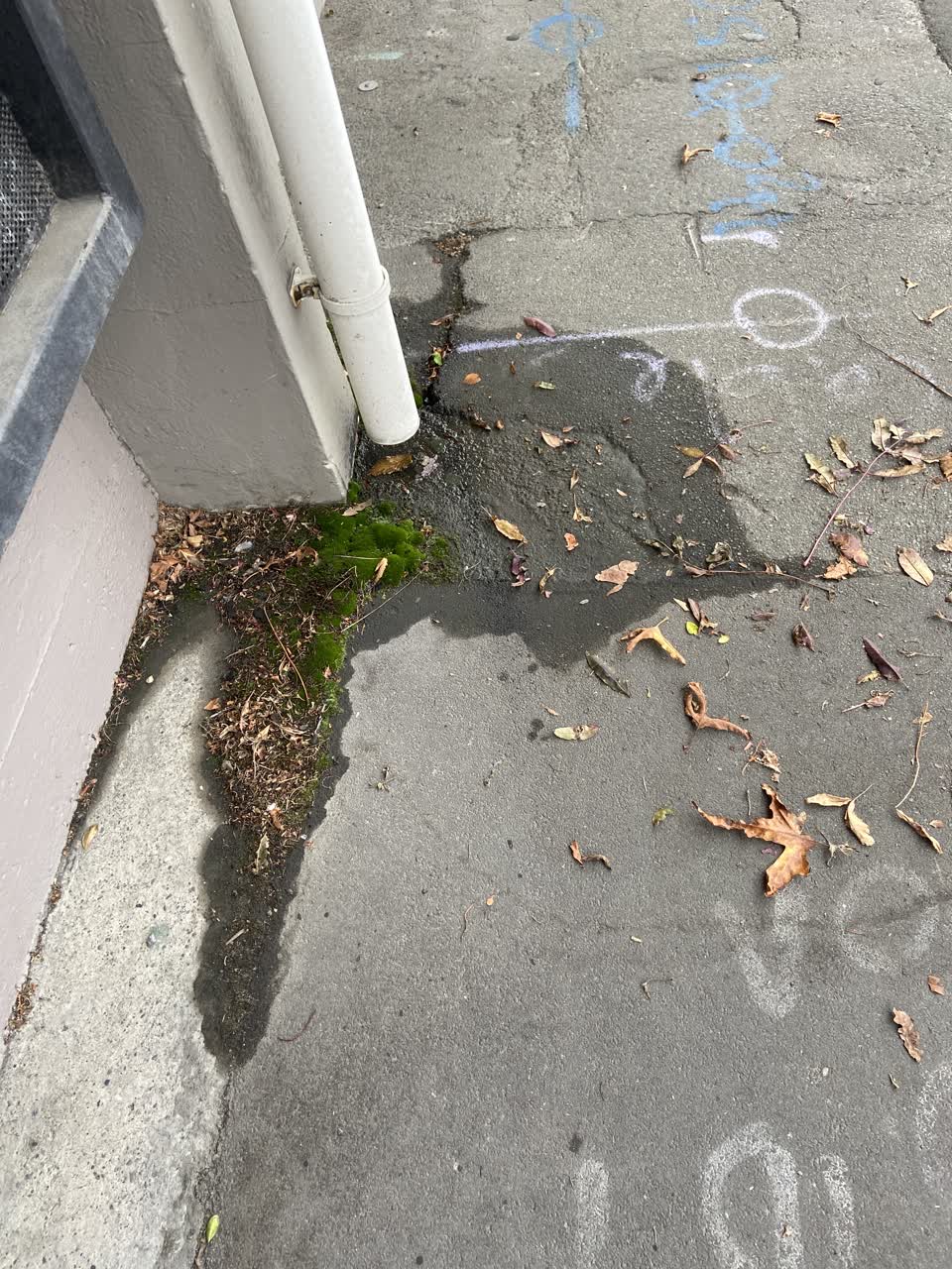 The photograph attached to this wastewater/stormwater report
