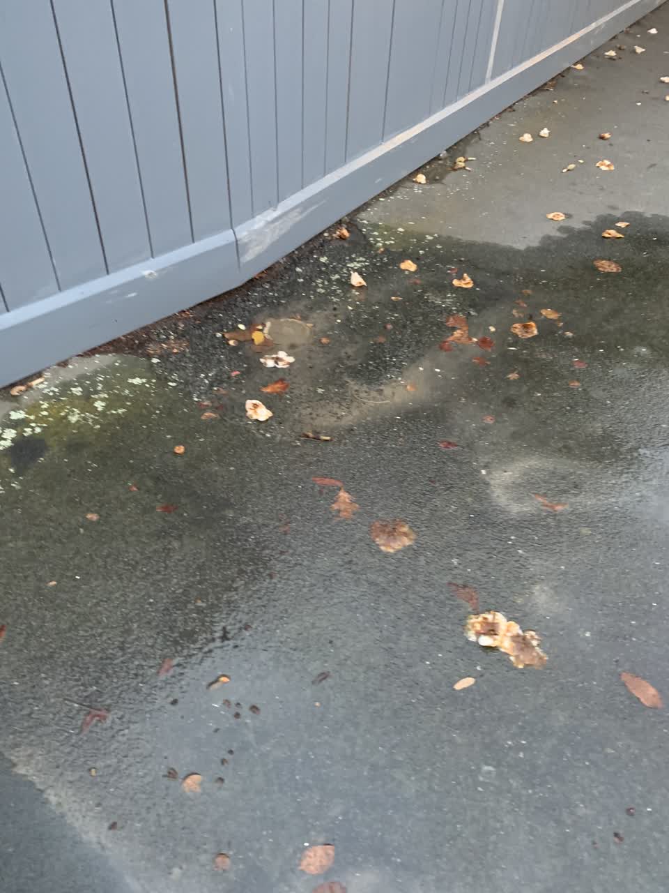 The photograph attached to this water leak report