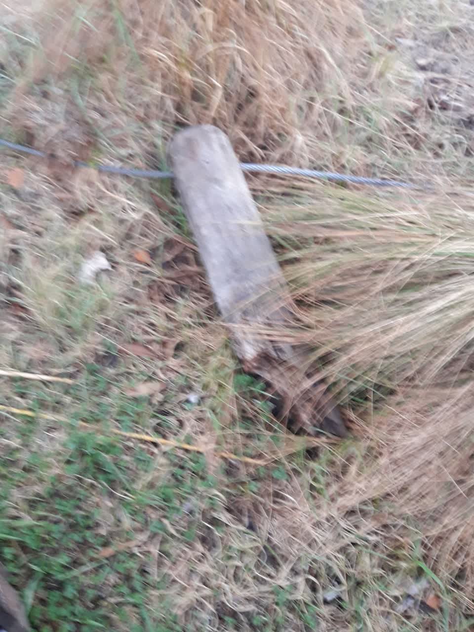 The photograph attached to this parks report