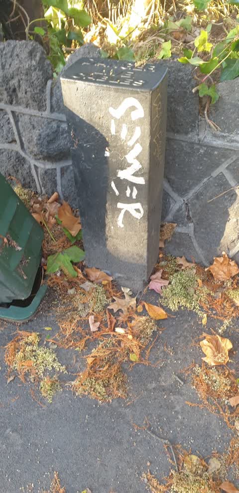 Graffiti, a report photo