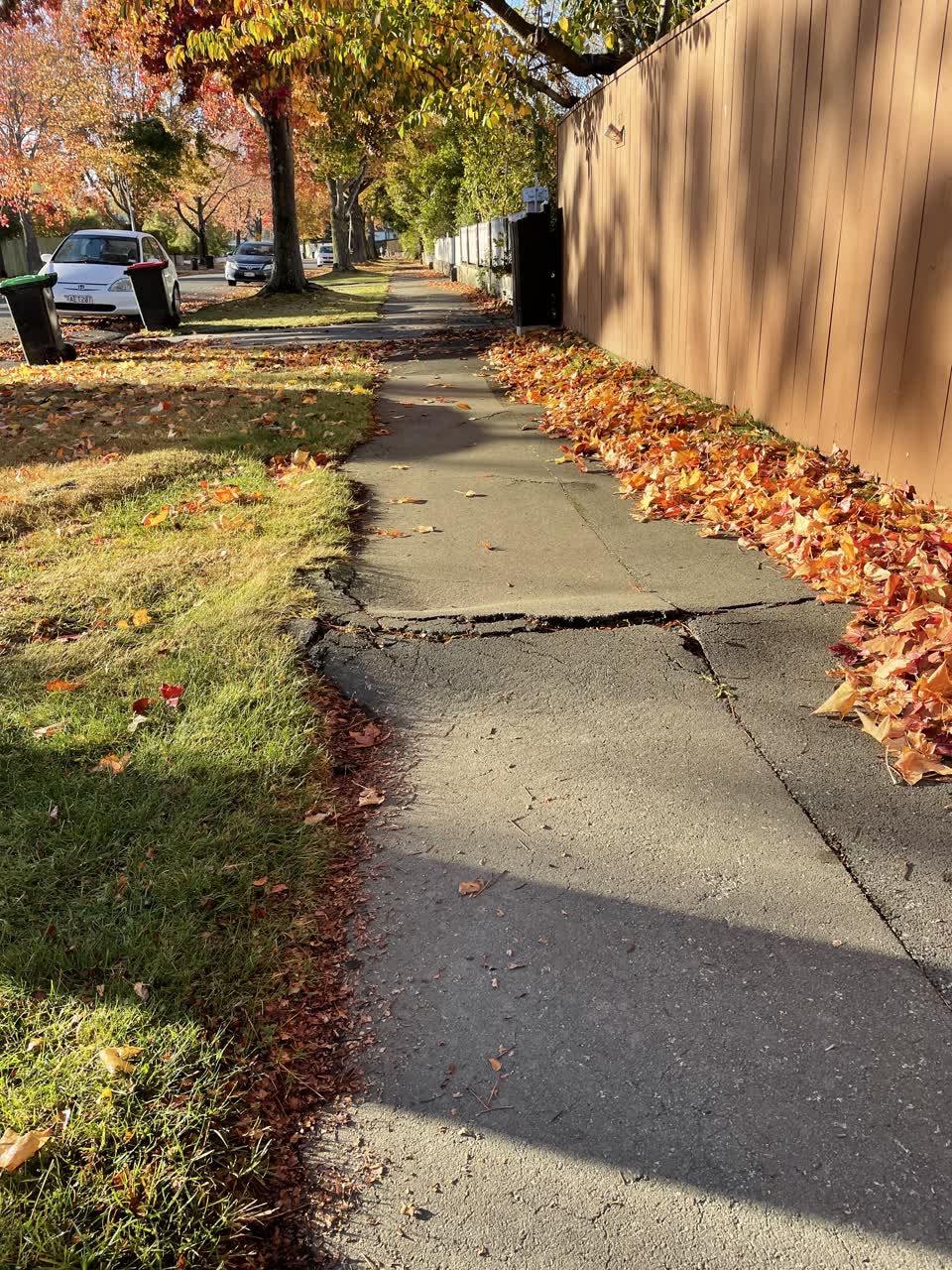 The photograph attached to this roading/streets report