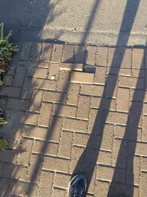 Roading/Streets, a report photo