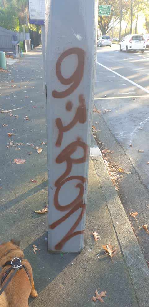 Graffiti, a report photo