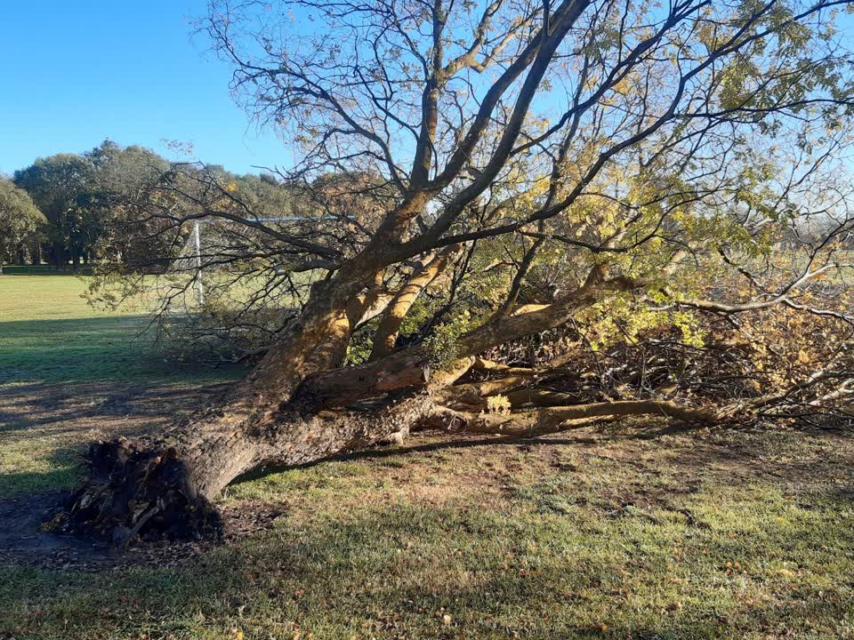 The photograph attached to this parks report