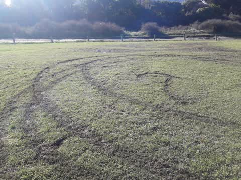 Parks, a report photo