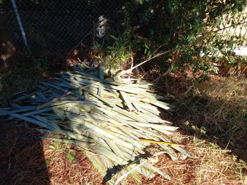 Rubbish/Recycling, a report photo
