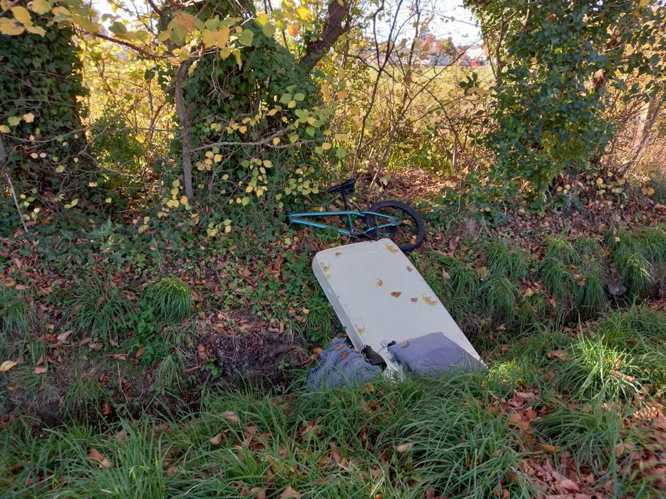 The photograph attached to this parks report