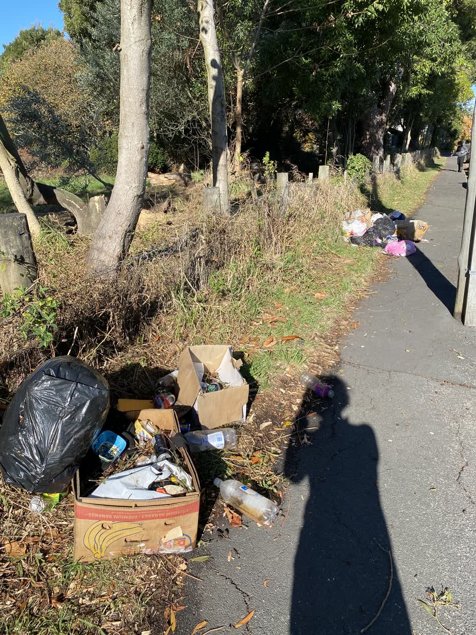 The photograph attached to this rubbish/recycling report