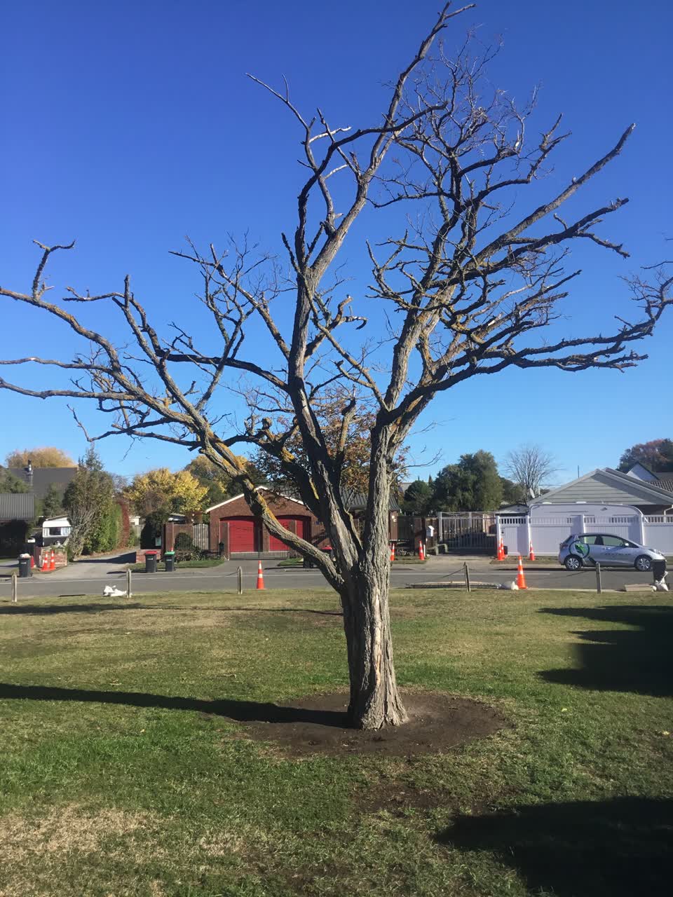 The photograph attached to this parks report