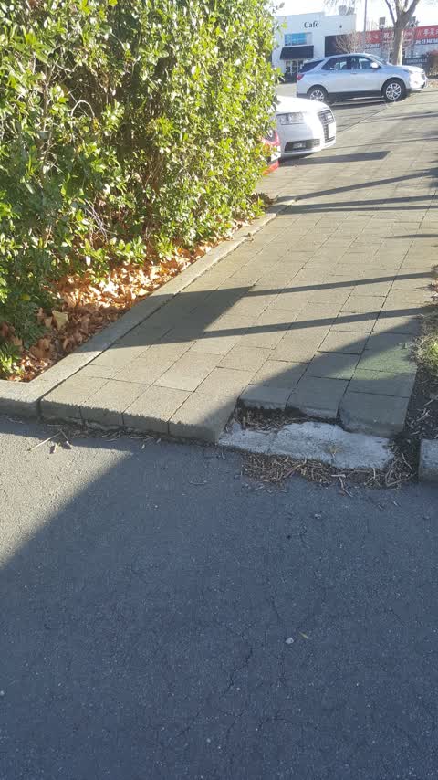 Roading/Streets, a report photo