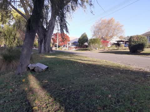 Rubbish/Recycling, a report photo