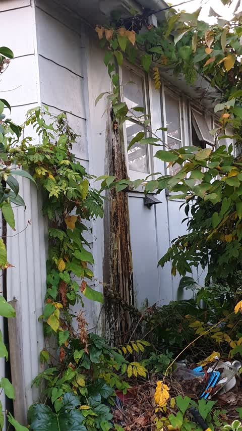 Water Leak, a report photo