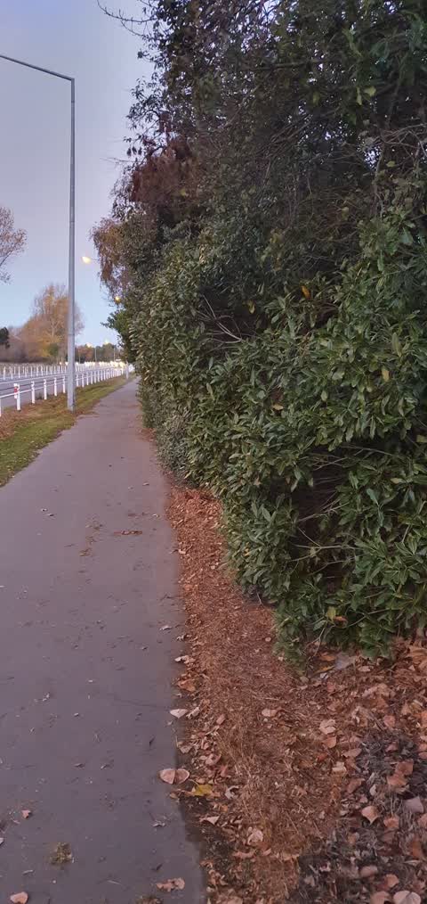 Roading/Streets, a report photo