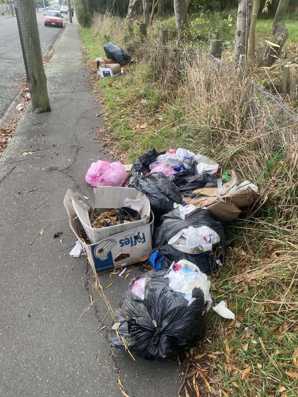 The photograph attached to this rubbish/recycling report