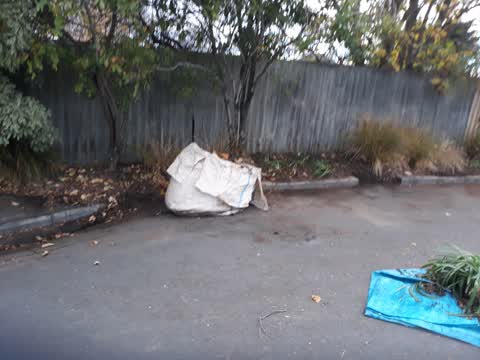 Parks, a report photo