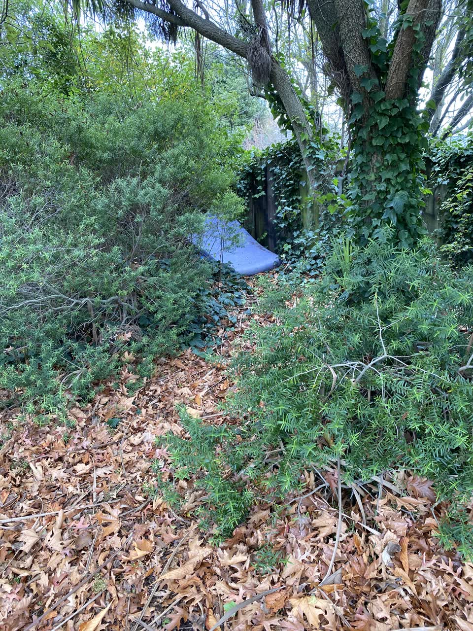 The photograph attached to this parks report
